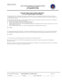 Labor Condition Application ETA Form 9035 EXP 2018-05-31.pdf