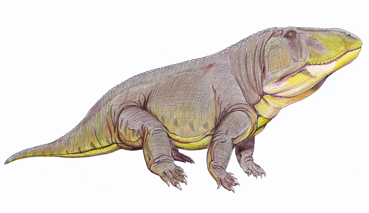 Erythrosuchus - Wikipedia, la enciclopedia libre