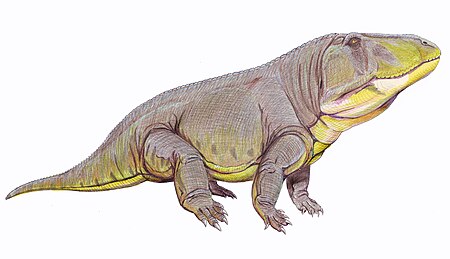 Erythrosuchus africanus.jpg