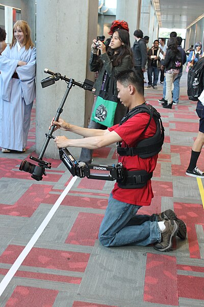 File:FanimeCon 2012 207 (7294806602).jpg