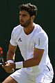 Robert Farah