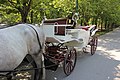 Deutsch: Fiaker bespannt mit Lipizzanern, wartend in der Prater Hauptallee