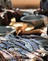 Fish in Ghana.jpg