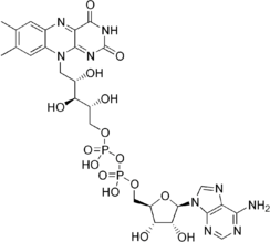 Stereo, Kekulé, skeletal formula of a minor tautomer of FAD [(2R,3S,4R,5R)-5-purinyl, -3,4-dihydroxy, -2-yl][(2R,3S,4S)-2,3,4-trihydroxy