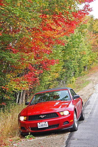 File:Ford Mustang in Nicely Coloured Fall Foliage in New Hampshire -exfordy.jpg