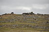 Fox Tor (4106).jpg