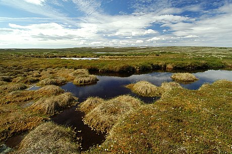 Parco nazionale Fulufjället