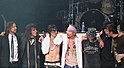 GNR 2010.jpg