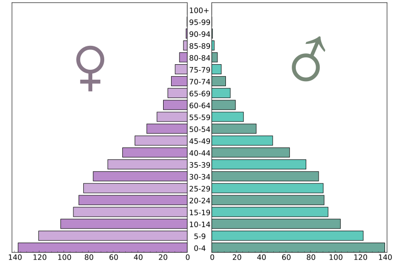 File:Gabon-population-pyramid-2017.svg