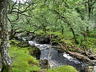 <span class="mw-page-title-main">Dolmelynllyn Estate</span> National Trust property in Gwynedd, Wales