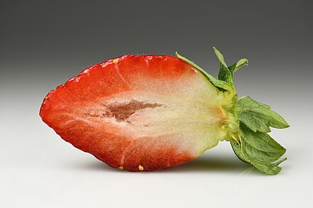 Garden strawberry (Fragaria × ananassa) halved.jpg