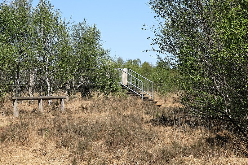 File:Geeste - Twister Straße - Hengstkampkuhlen + Aussichtsplattform 01 ies.jpg