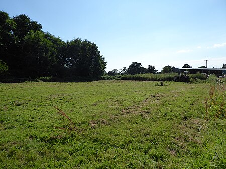 Geldeston Meadows 4