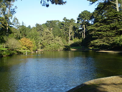 Golden Gate Park (parke sa Tinipong Bansa, California)