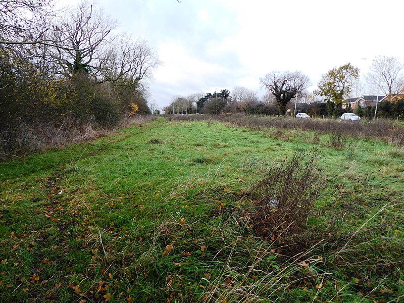 File:Goss Meadows 4.jpg