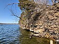 The shoreline of Green Lake along Lone Tree Point