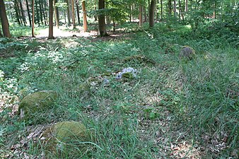 Großsteingrab Bebertal I 10 06.jpg