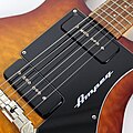 Ampeg AMG1 "Amber Burst" le pickguard et les micros