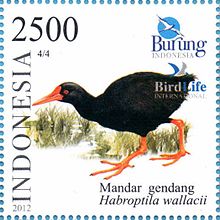 Изображение штампа квадратной формы с изображением черной птицы, похожей на мурхена, идущей, с ногами и длинным красным клювом.
