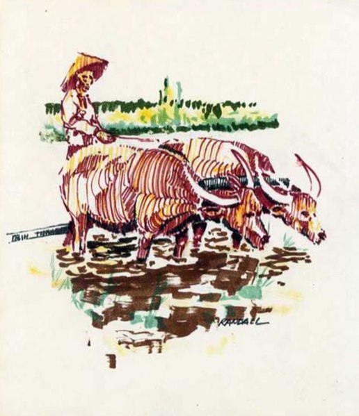 File:Hard Labor In A Rice Paddy by Stephen H Randall CATVII 1968.jpg