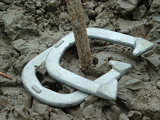 Horseshoes Game of skill in the lawn game category