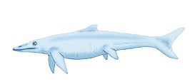 Hudsonelpidia