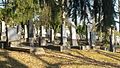 regiowiki:Datei:Israelitischer Friedhof Oberwart 5.jpg