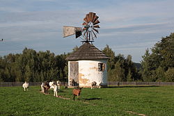 Větrný mlýn v Žijícím skanzenu