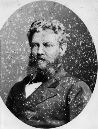 <span class="mw-page-title-main">John Thorn (Queensland politician)</span> Australian politician (1847–1896)