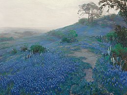 Blue Bonnet Field, Early Morning, San Antonio Texas, 1914