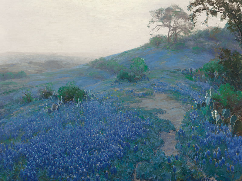 File:Julian Onderdonk - Blue Bonnet Field, Early Morning, San Antonio Texas (1914).jpg