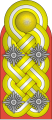 Generaloberst mit dem Rang als Generalfeldmarschall (Imperial German Army)[14]