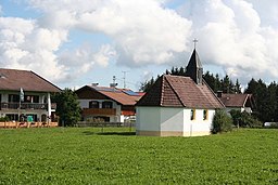 Kreut in Wildsteig