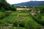 Klostergarten Kartause Freiburg