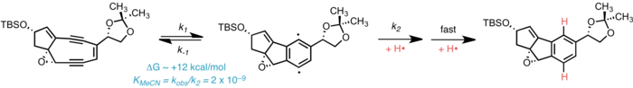 Keseimbangan kedarcidin kromofor inti dan Bergman-cycloaromatized biradical.[4]