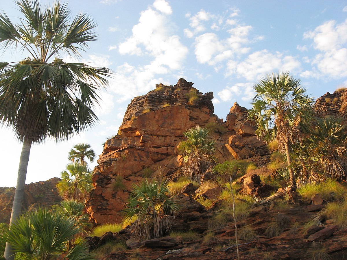 Kimberley Tropical Savanna Wikipedia