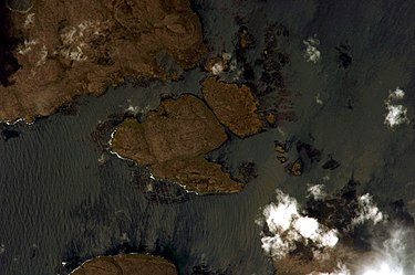 Kelp beds off the coast of the Kerguelen Islands as seen from space Kerguelen Kelp Beds, Southern Indian Ocean.jpg