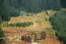 Kershopehead (Bothy) Kershopehead - geograph.org.uk - 764038.jpg