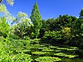 2010年9月29日 (水) 16:33時点における版のサムネイル