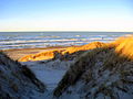 Kjaersgaard Strand - Nordjylland 2010 ubt-3.JPG