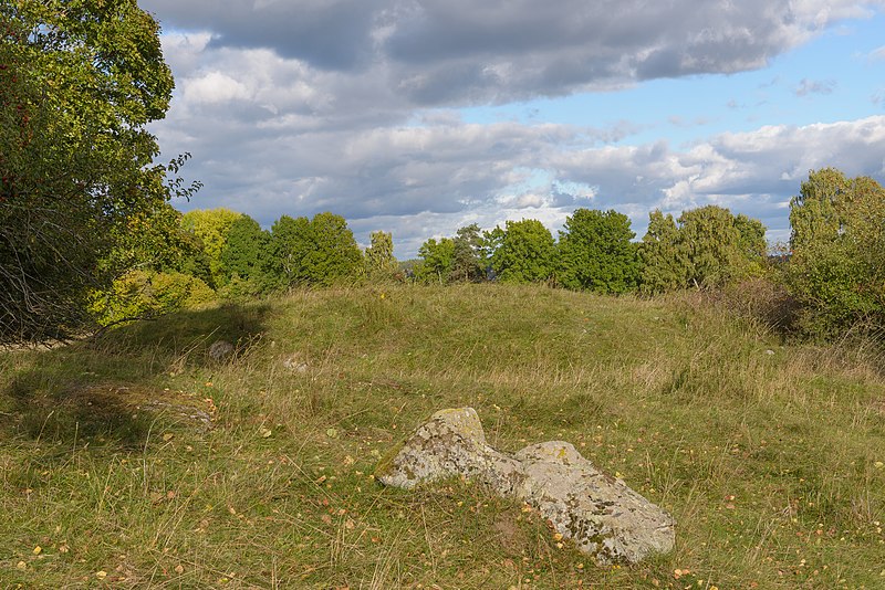 File:Kungshögarna Adelsö 48 5 September 2013 01.jpg