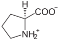 Deutsch: Struktur von L-Prolin unter physiologischen Bedingungen English: Structure of L-proline under physiological conditions