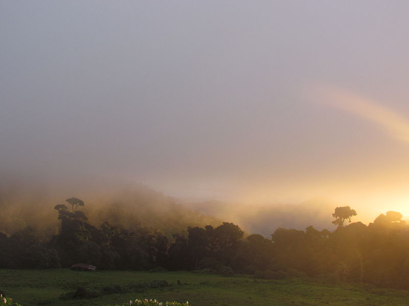 File:La Amistad Panama Biosphere Reserve - Parque Nacional Volcan Baru (a core zone) 10.JPG