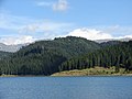 Lacul Bolboci - panoramio (11).jpg