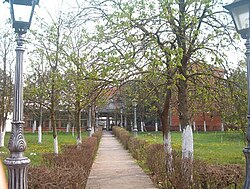 Lazarevo village, Vojvodina, Serbia.jpg