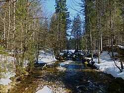 Leckner Ach im Winter.jpg