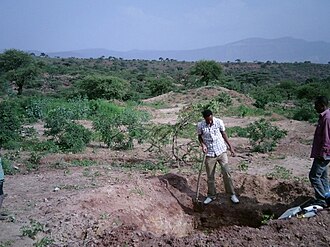 Lithic Leptosol in Agbe Lithic Leptosol in Agbe Ethiopia.jpg