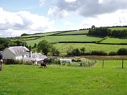 Landsbygd i Llanfihangel Aberbythych