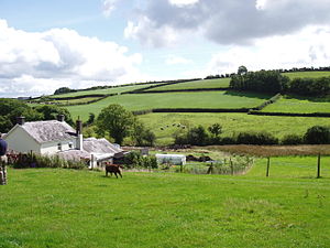 Llanfihangel Aberbythych Countryside.jpg