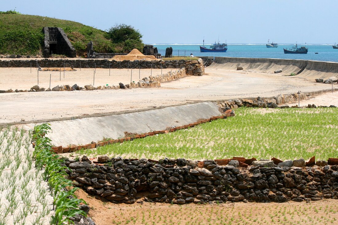 Lý Sơn district